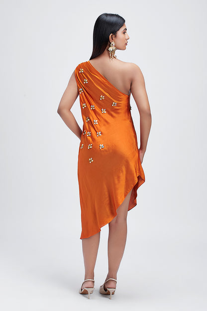 Apricot Echo - dress