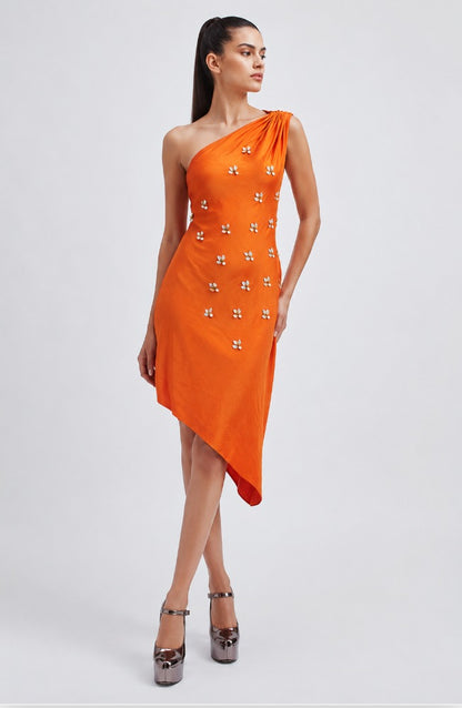 Apricot Echo - dress