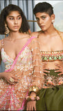 THE IT GIRL - BISCUIT NUDE  EMBELLISHED SAREE SET